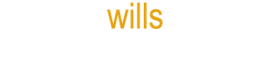 Lifetime Wills